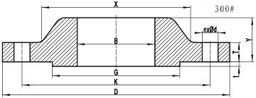 B16.5 Slip On Flange Class 300 B16.5 Slip On Flange Class 300